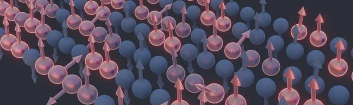 A New Perspective on Hydrodynamics in Quantum Spin Chains A New Perspective on Hydrodynamics in Quantum Spin Chains