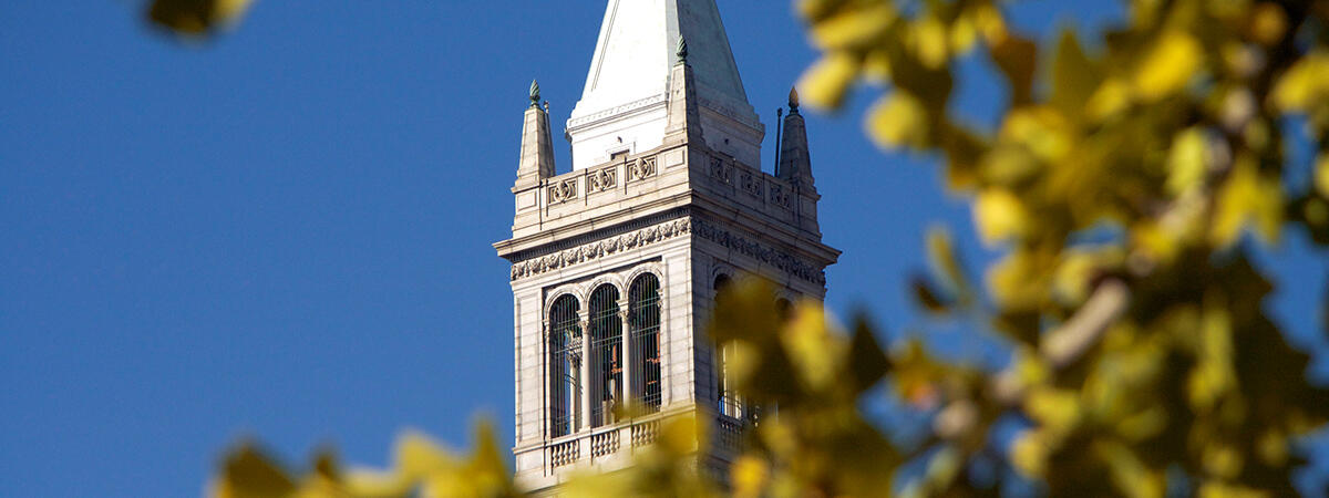 Sather Tower, trees