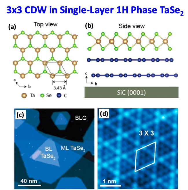 CDWs and Superconductivity in 2D Materials Physics