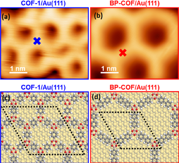 STM images of single-layer COF1
