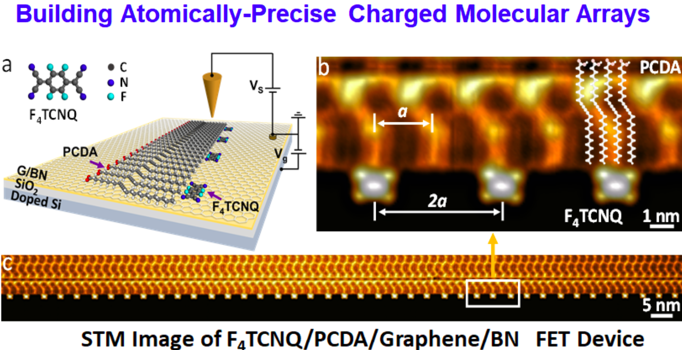 Building Atomically-Precise Charged Molecule Arrays