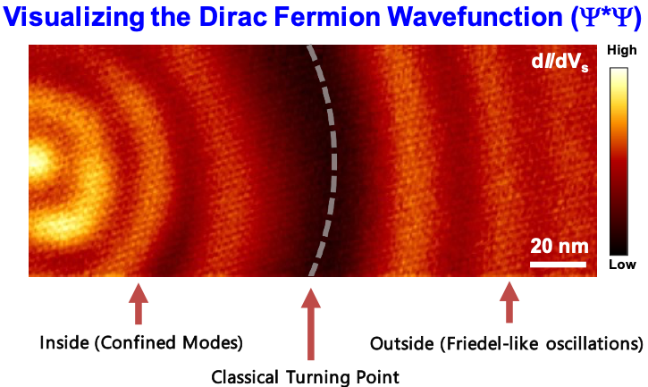 Visualizing the Dirac Fermion Wavefunction