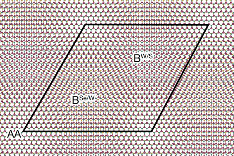 Moiré superlattice quasiparticle