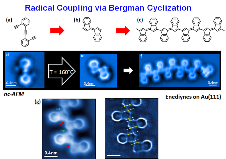 Radical Coupling vs Bergman Cyclization