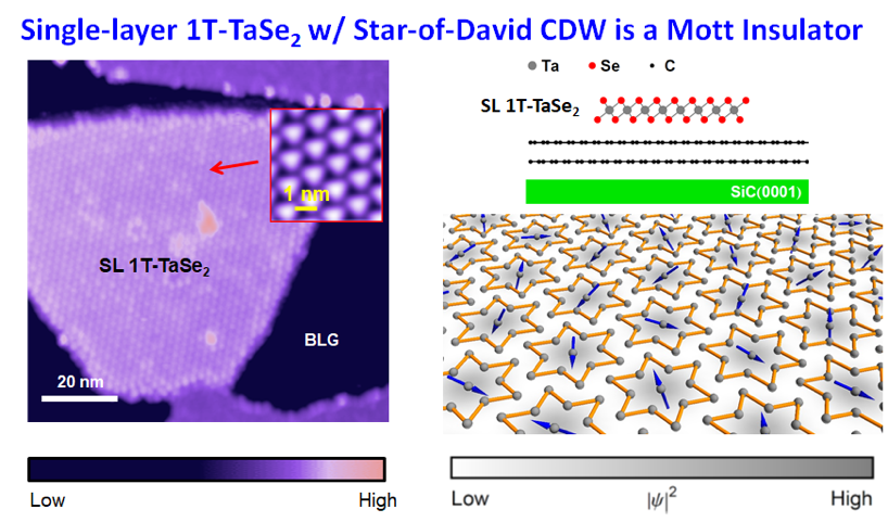 Single-Layer 1T-TaSe2 with Star-of-David CDW