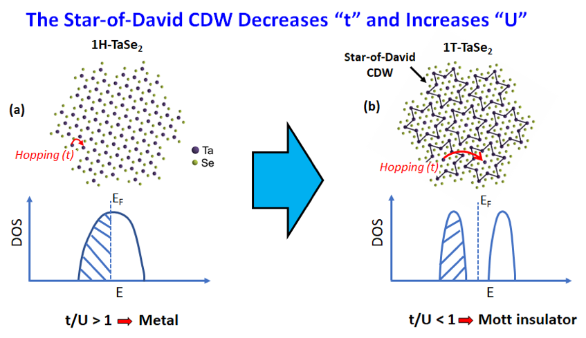 Star-of-David CDW decreases t and increases U