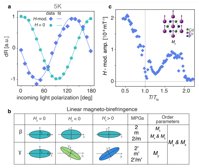 Spin-carrier coupling induced ferromagnetism and giant resistivity peak in EuCd2P2