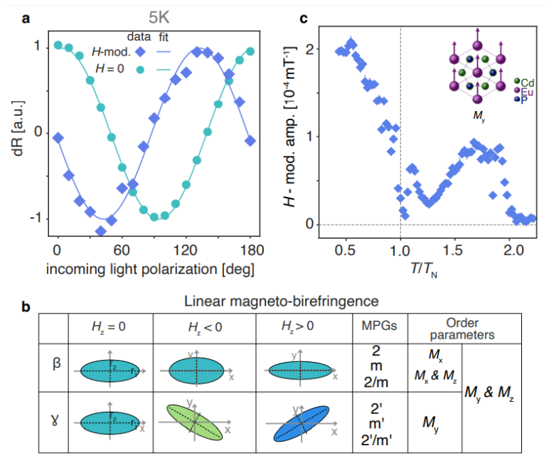 Spin-carrier coupling induced ferromagnetism and giant resistivity peak in EuCd2P2 Spin-carrier coupling induced ferromagnetism and giant resistivity peak in EuCd2P2
