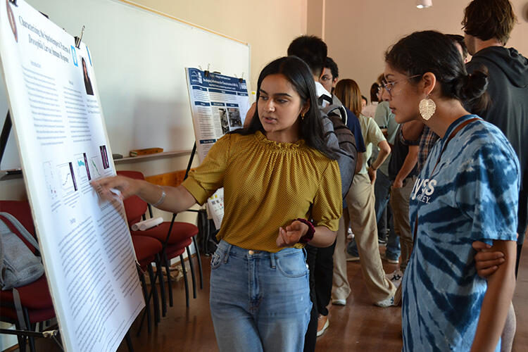 Two students discussing a science poster