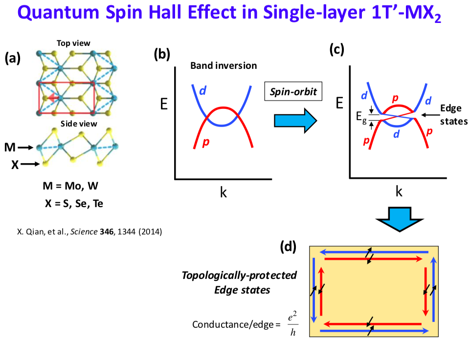 Quantum Spin Hall Effect