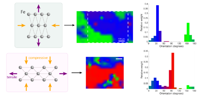 Z3 nematicity in intercalated transition metal dichalcogenides (TMDs) Z3 nematicity in intercalated transition metal dichalcogenides (TMDs)