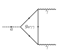 Feynman Axion